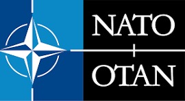 Şirket Logo